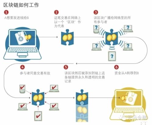 新型网络形态