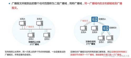 局域网和城域网2